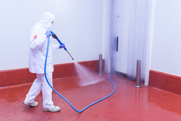Best Oil Spill Cleanup  in Blythe, CA